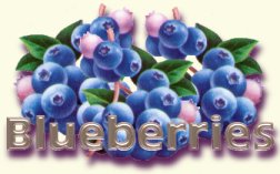 Welcome Banner