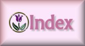 Recipe index page