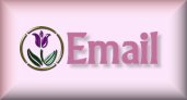 Send me Email