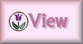 View My Book