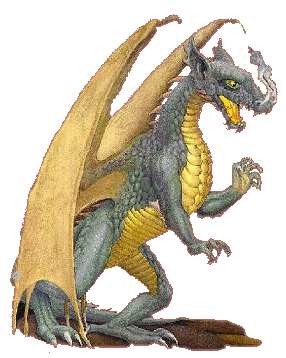  Yellow Dragon