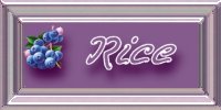 Rice Recipes