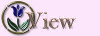 View My Book